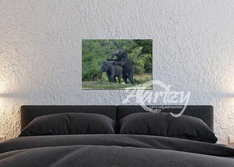 Mischief in the Wild