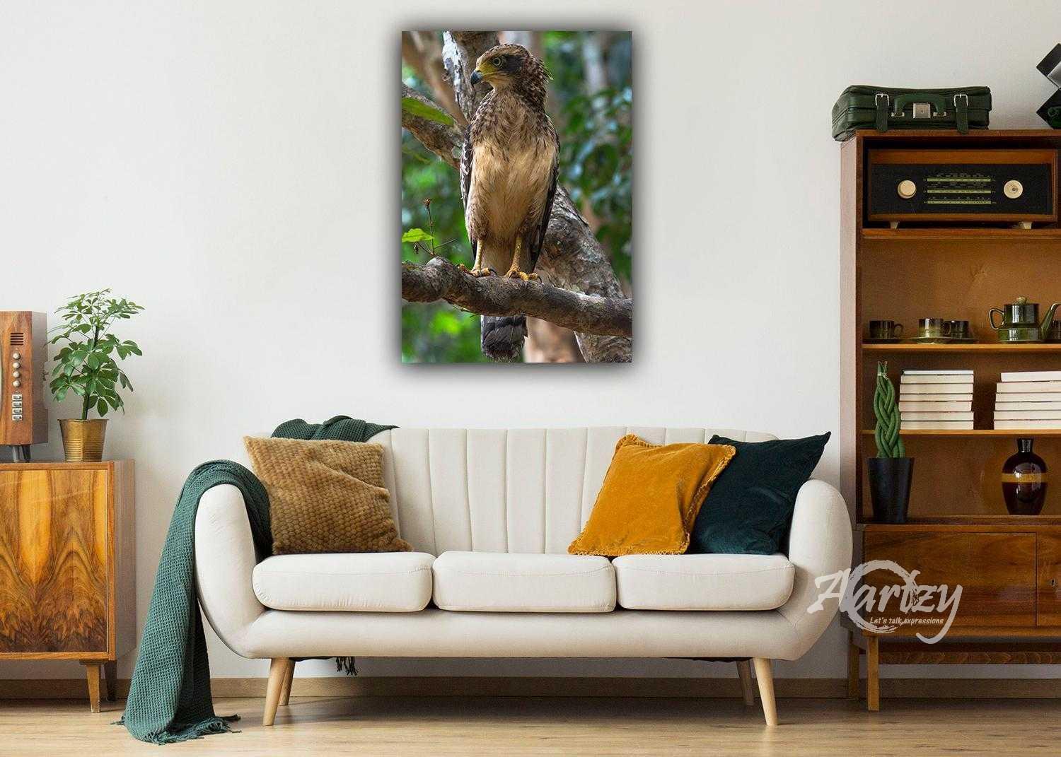 Juvenile Serpent Eagle