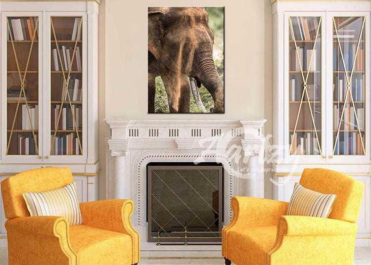 Rising from the Dust