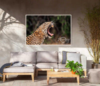 The Yawn