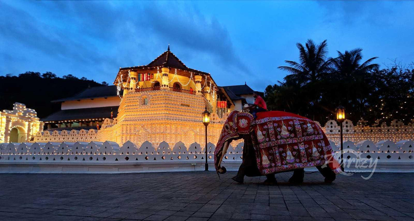 The Walk Before the Pageant
