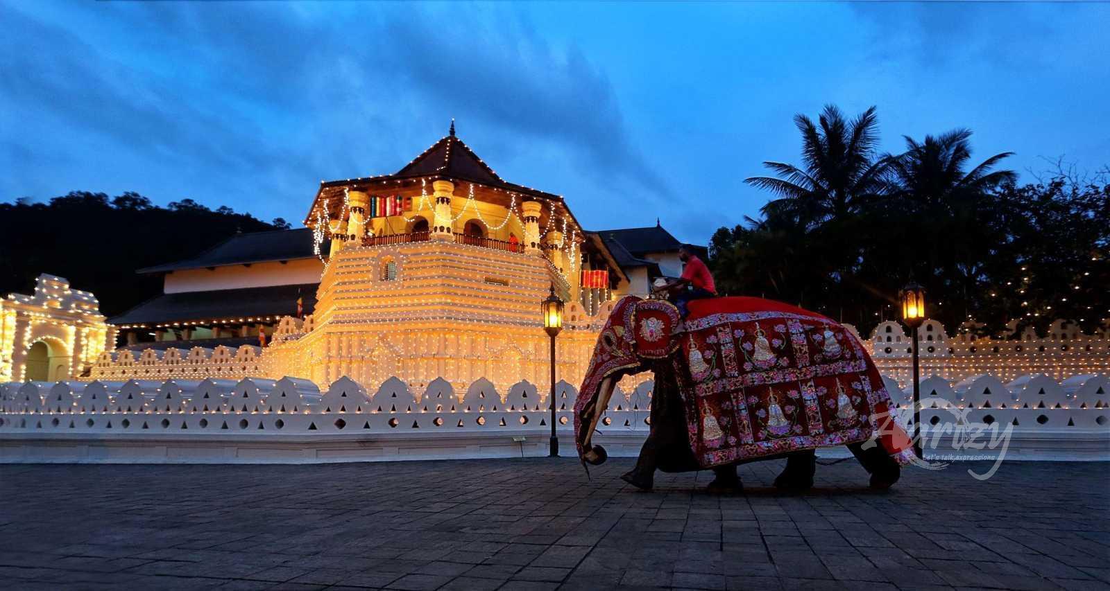 The Walk Before the Pageant