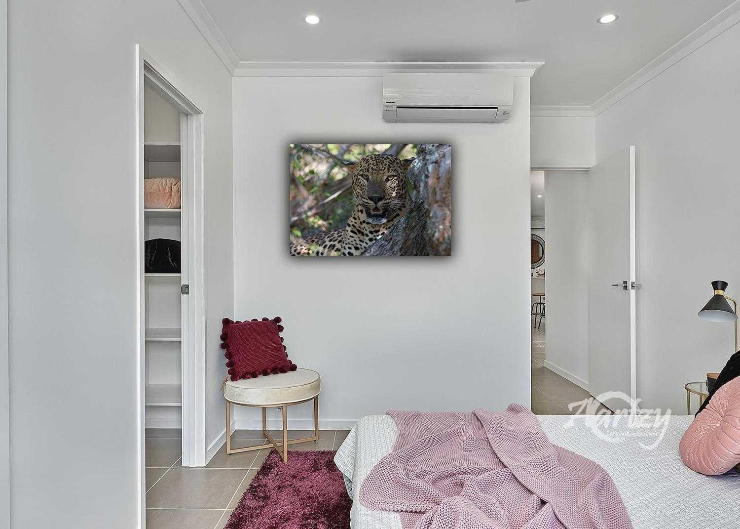 Are You Looking At Me?