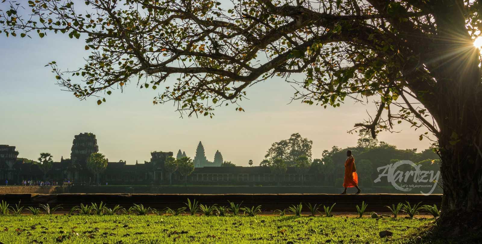 Guided by the Dhamma