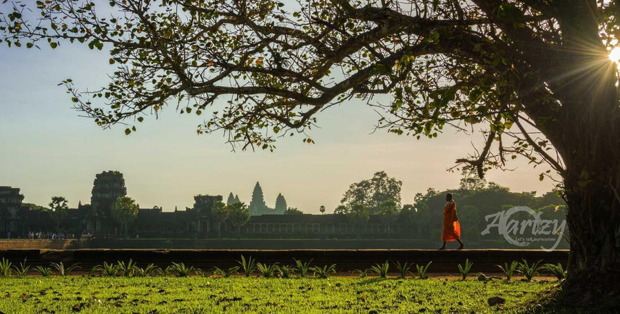 Guided by the Dhamma