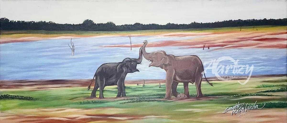 Elephant Encounter