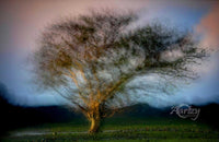 Blurry Vision