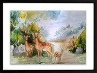 Deer