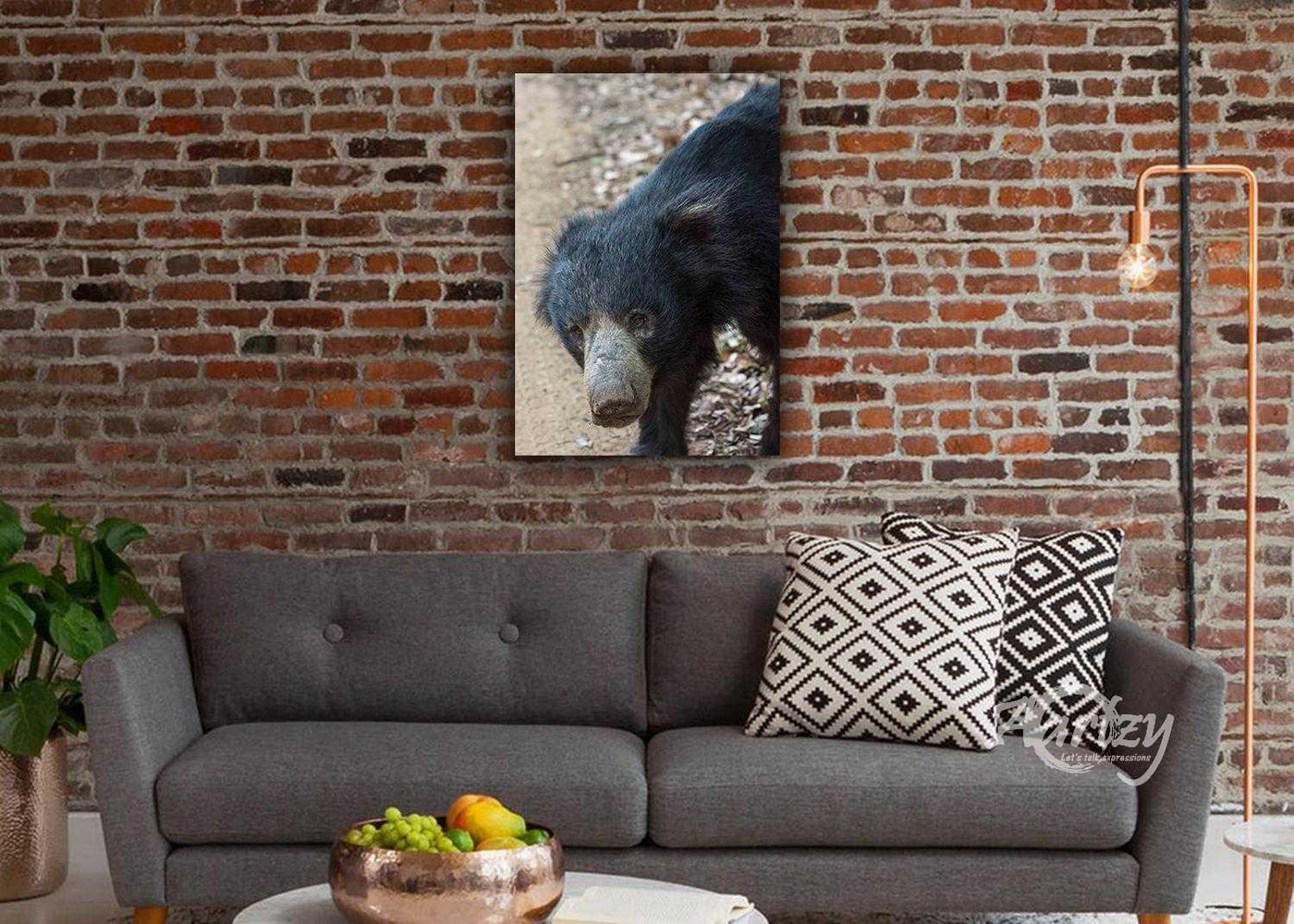 Sloth Bears of Sri Lanka