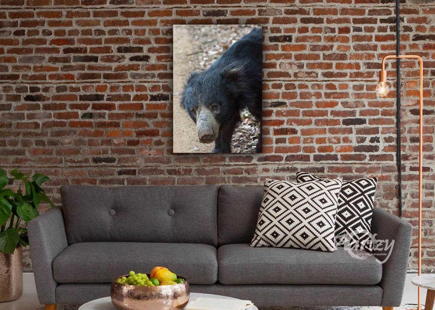 Sloth Bears of Sri Lanka