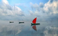 Perfect Mirror Image