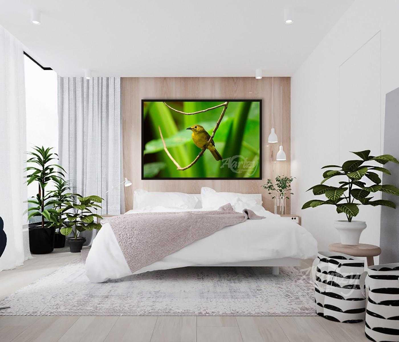 A Beauty in The Forest