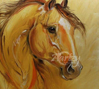 Stallion's Aspect