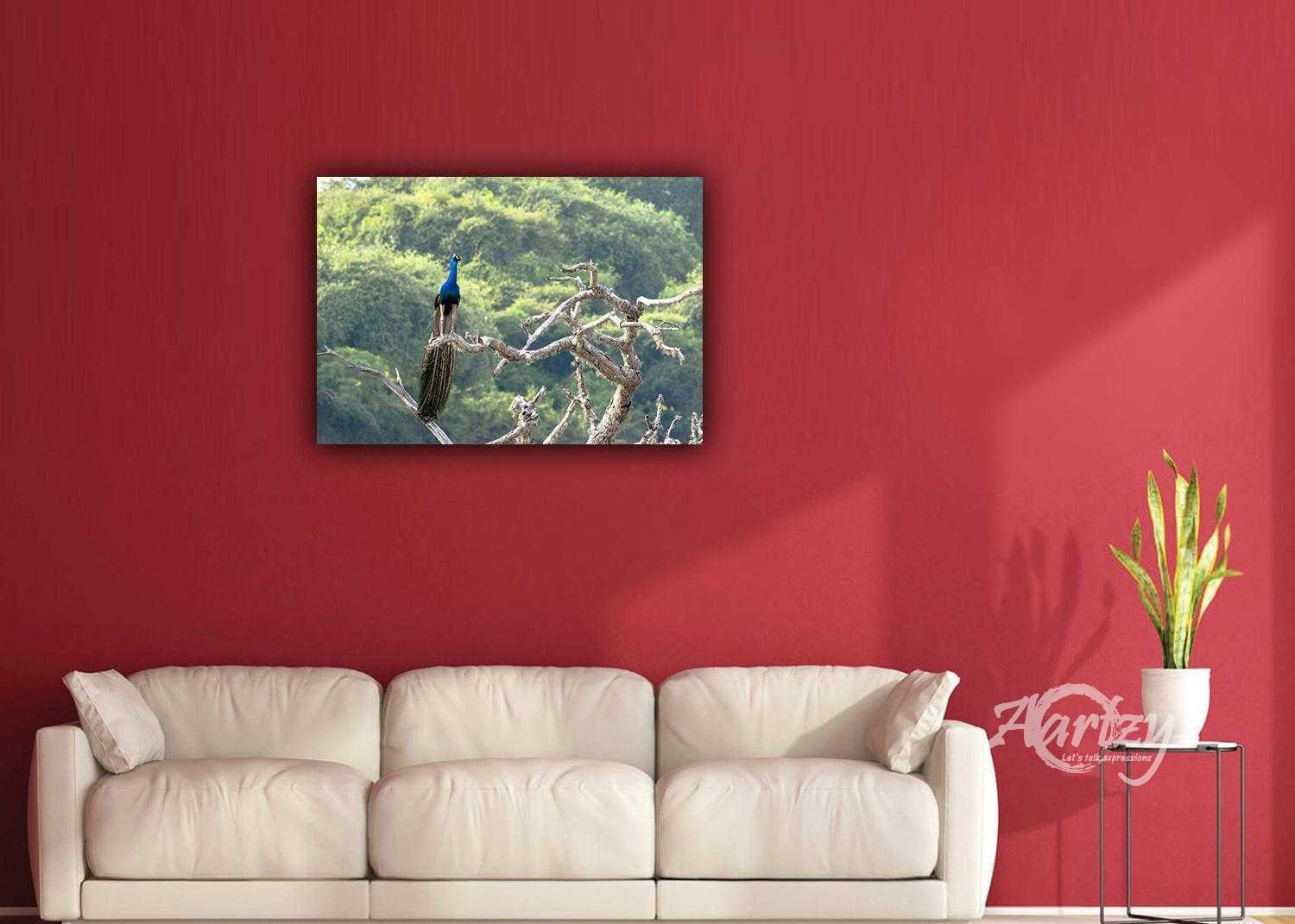 The Quintessetial Bird of the Jungle