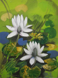 Water Lilies