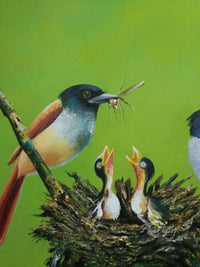 Nest at Suppertime