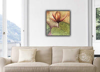 Beautiful Lotus