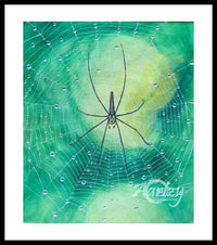 The Morning Web