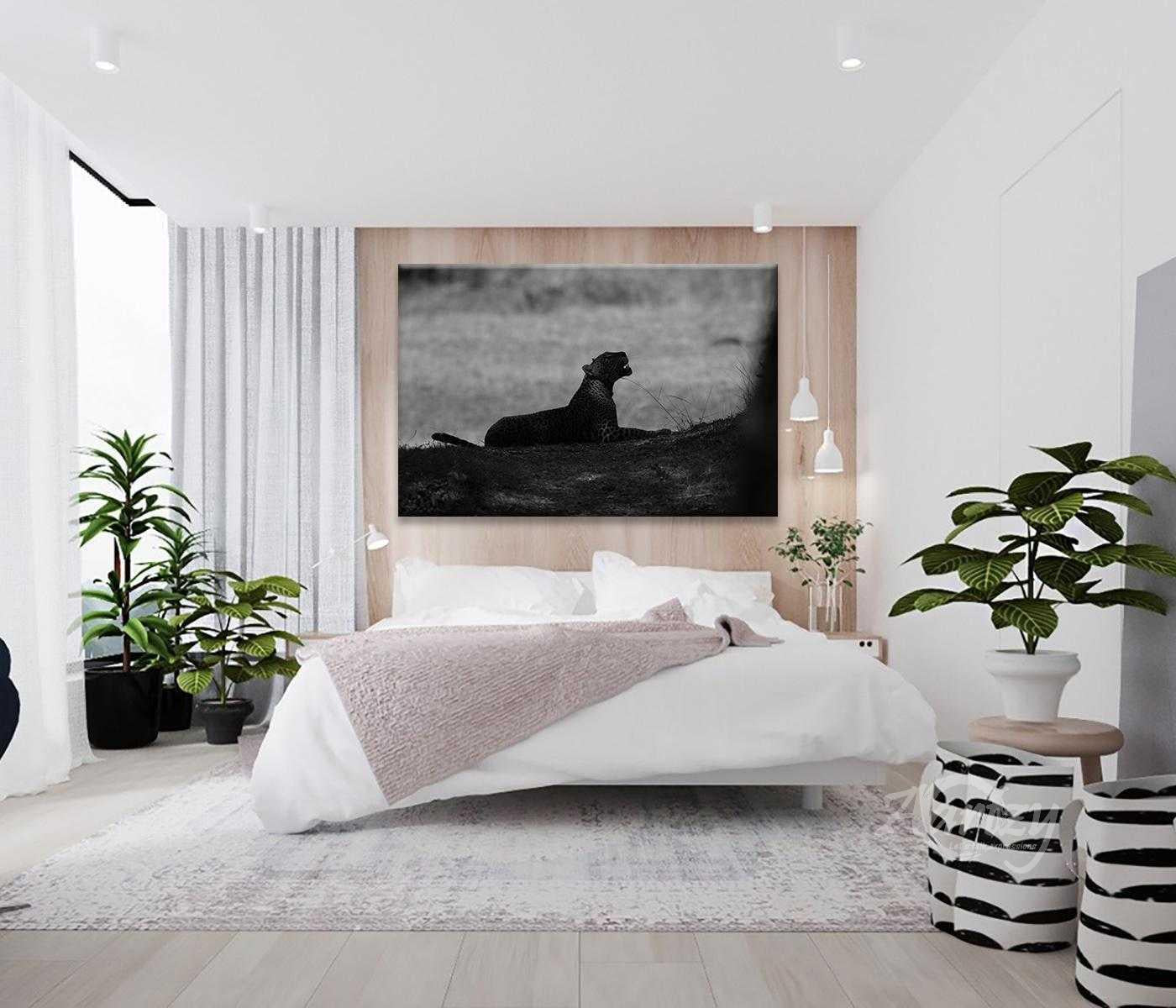 Rosettes in Grayscale