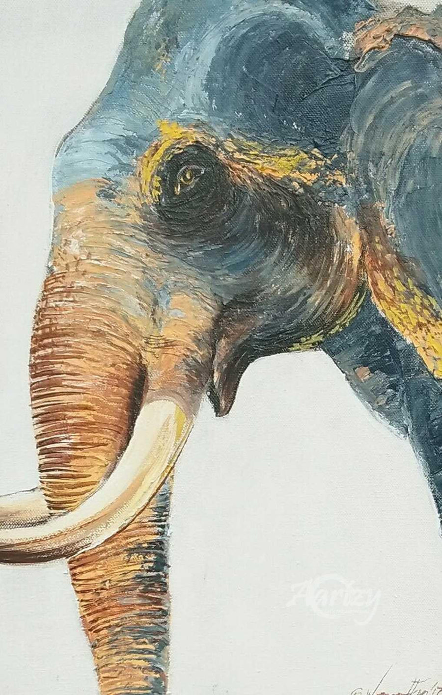 A Tusker's Gaze
