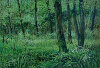 Deep Jungles