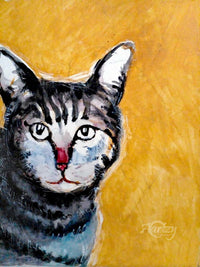 Feline Friends