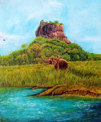 Wild Elephants