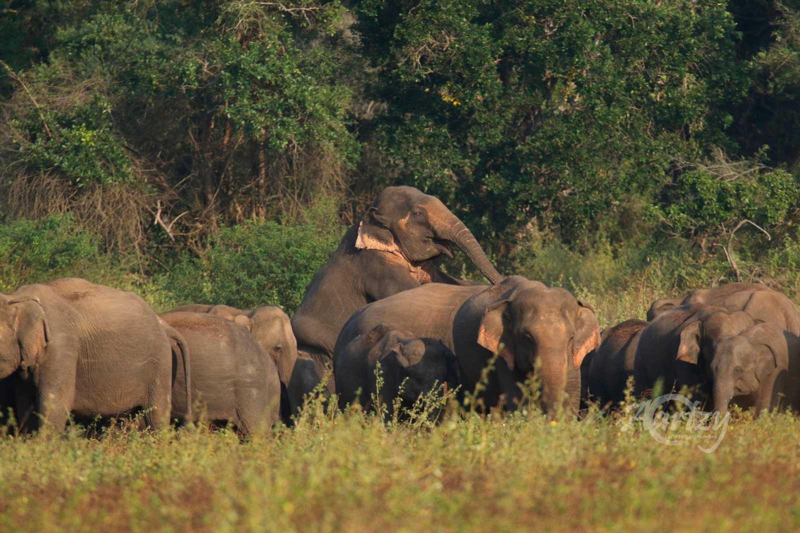 A Notch Above the Rest