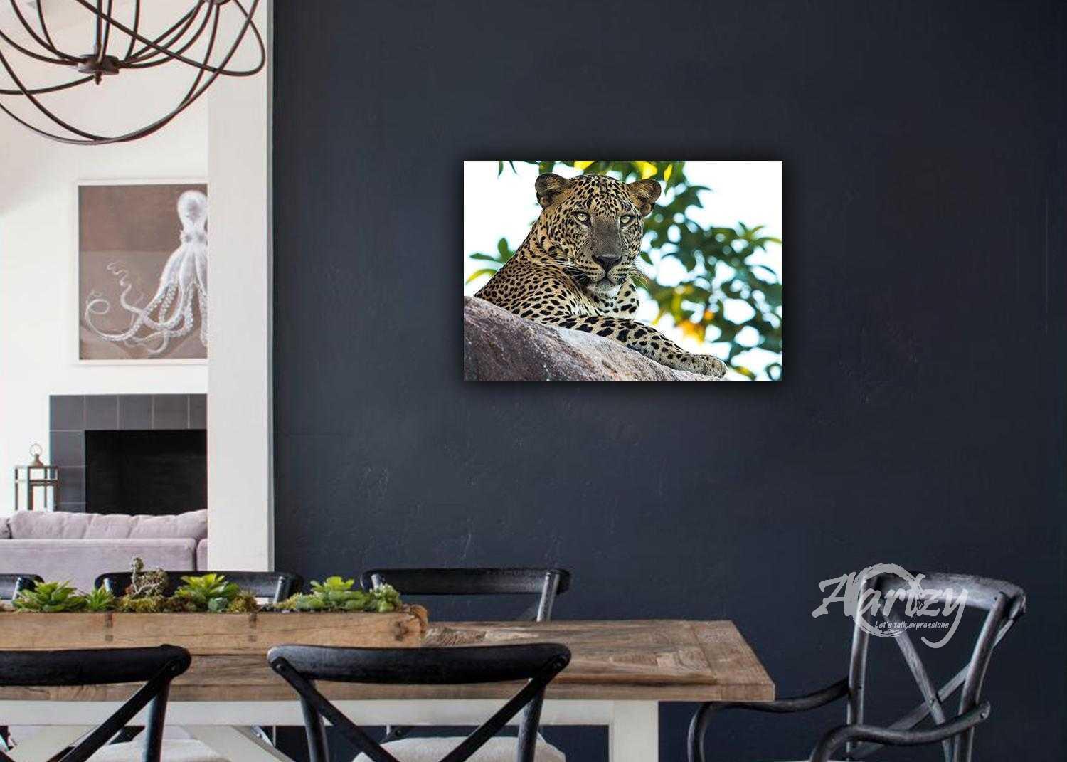 Leopard Who Doesn't Care