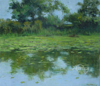 Murky Waters