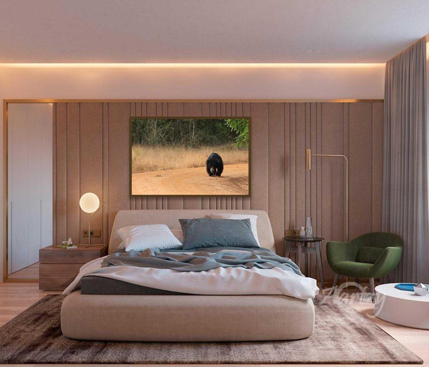 The Bear Necessities