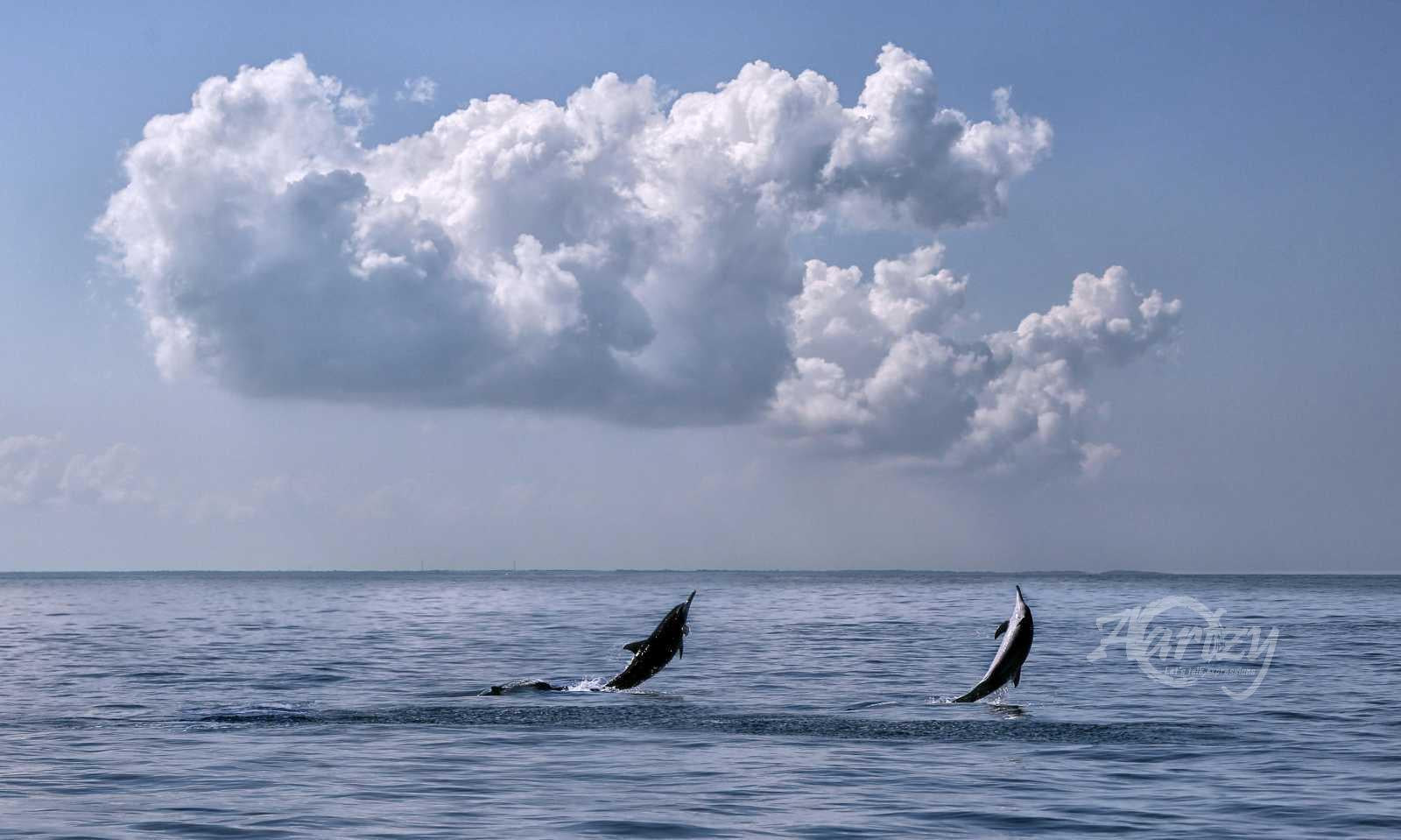 Calling out to the Heavens