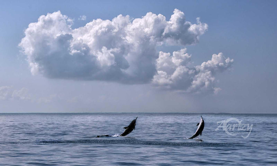 Calling out to the Heavens