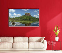 Splendor of the Forest