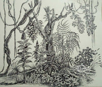 Enchanted Woodland Serenity