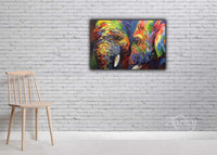 Bold and Beautiful