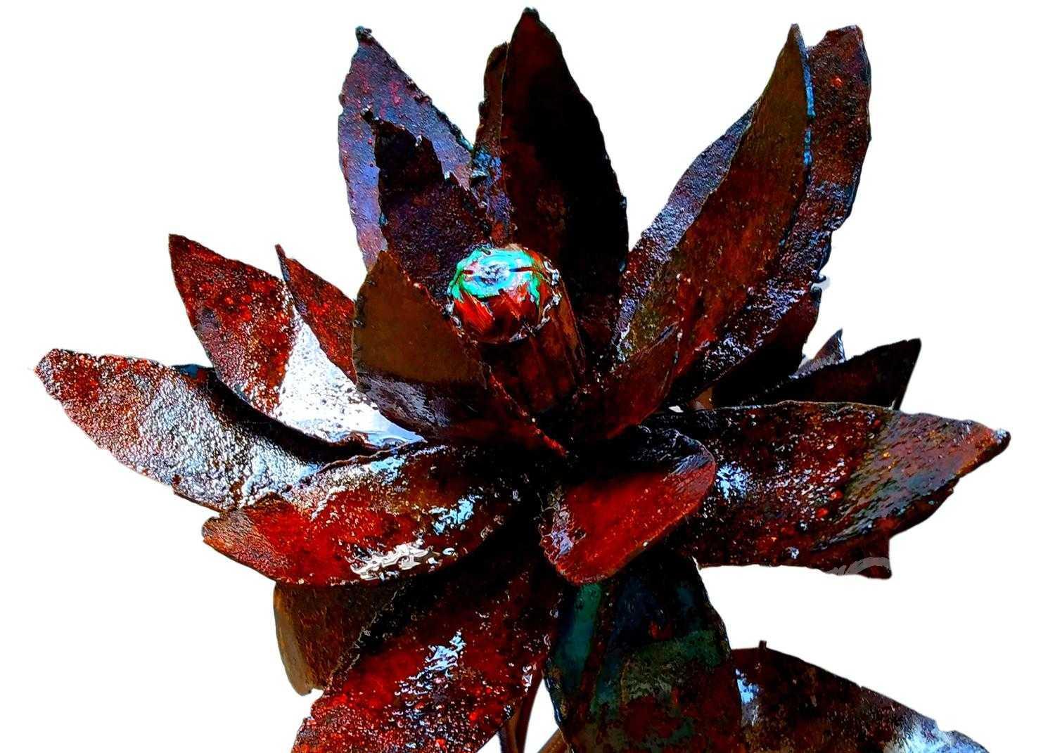 The Red Lotus in Bloom