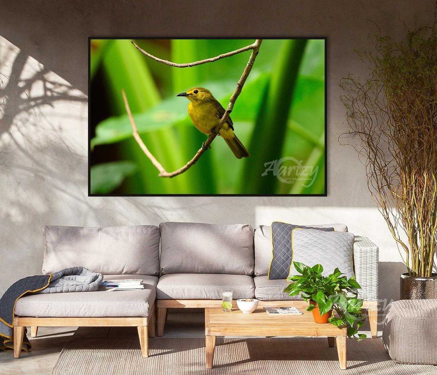 A Beauty in The Forest