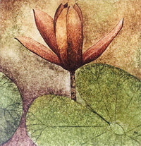 Beautiful Lotus