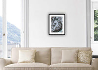 The Economic Collapse IV