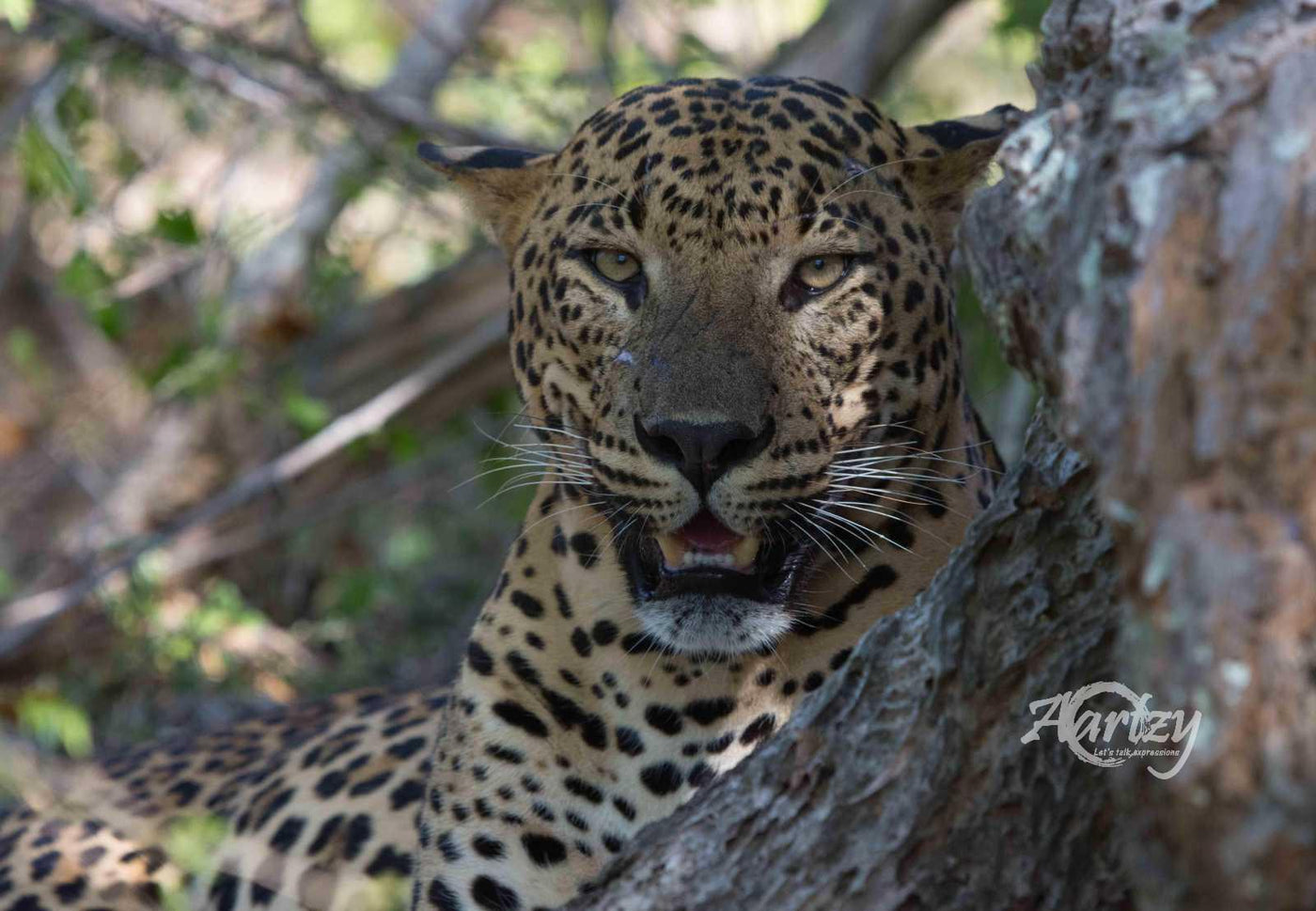 Are You Looking At Me?