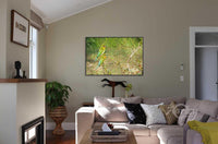 Birds Who Flock Together