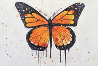 Fragile Wings of Amber