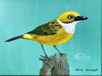 Yellow Feathered