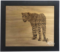 Leopard Tales