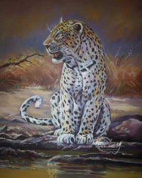 Silent Watcher