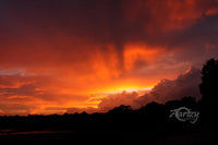 Breaking of Dawn