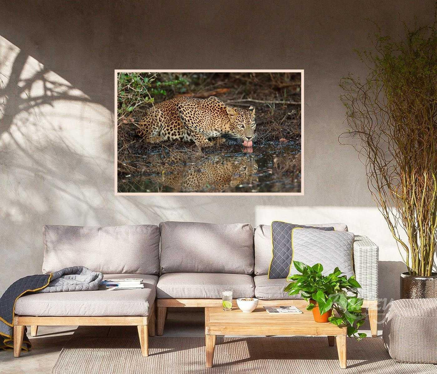 Quenching the Thirst