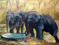 At the Well