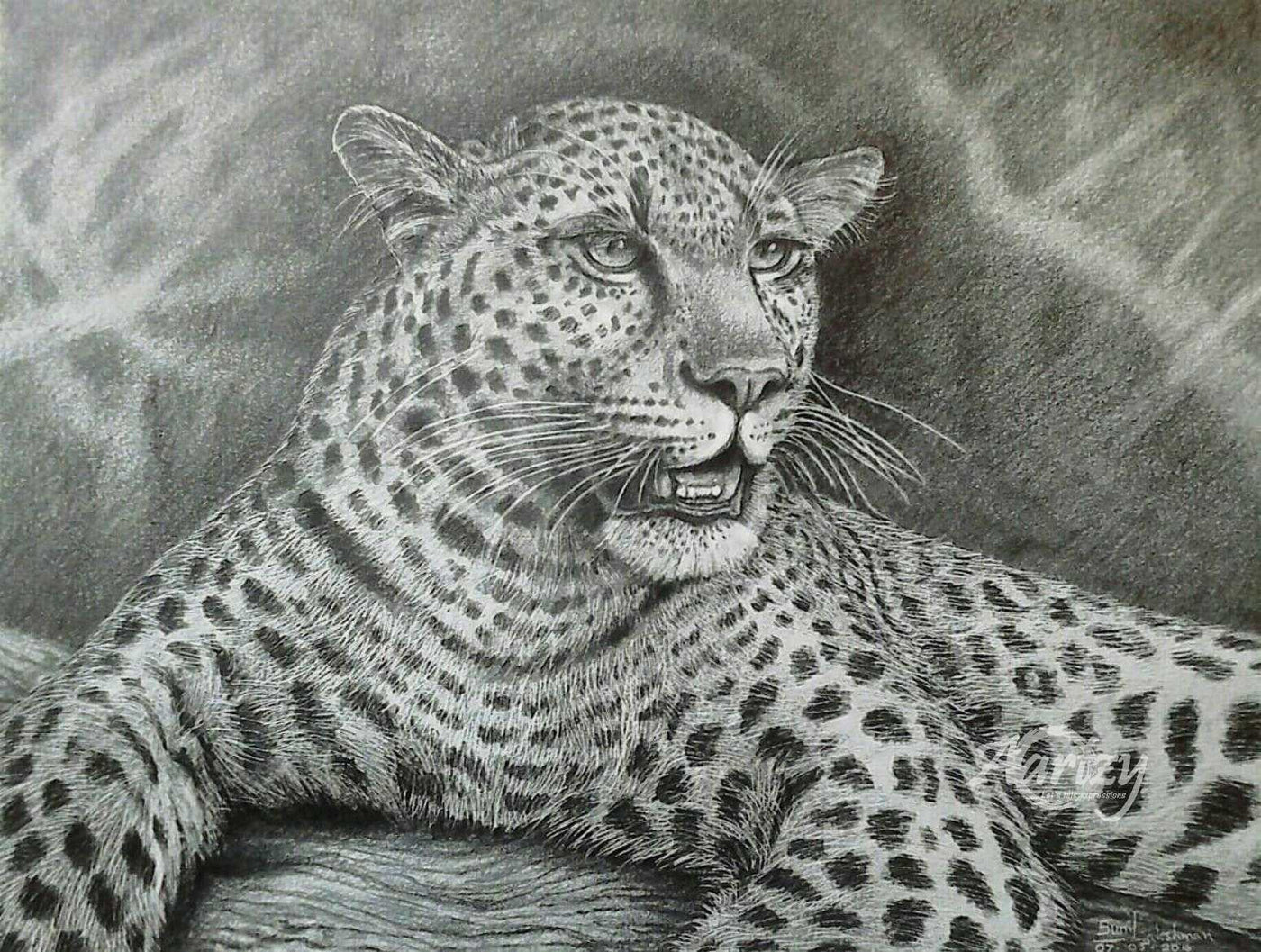 The Resting Leopard